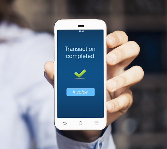 portfolio-single-1-1